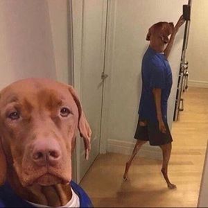 Meet your Posher, Avery